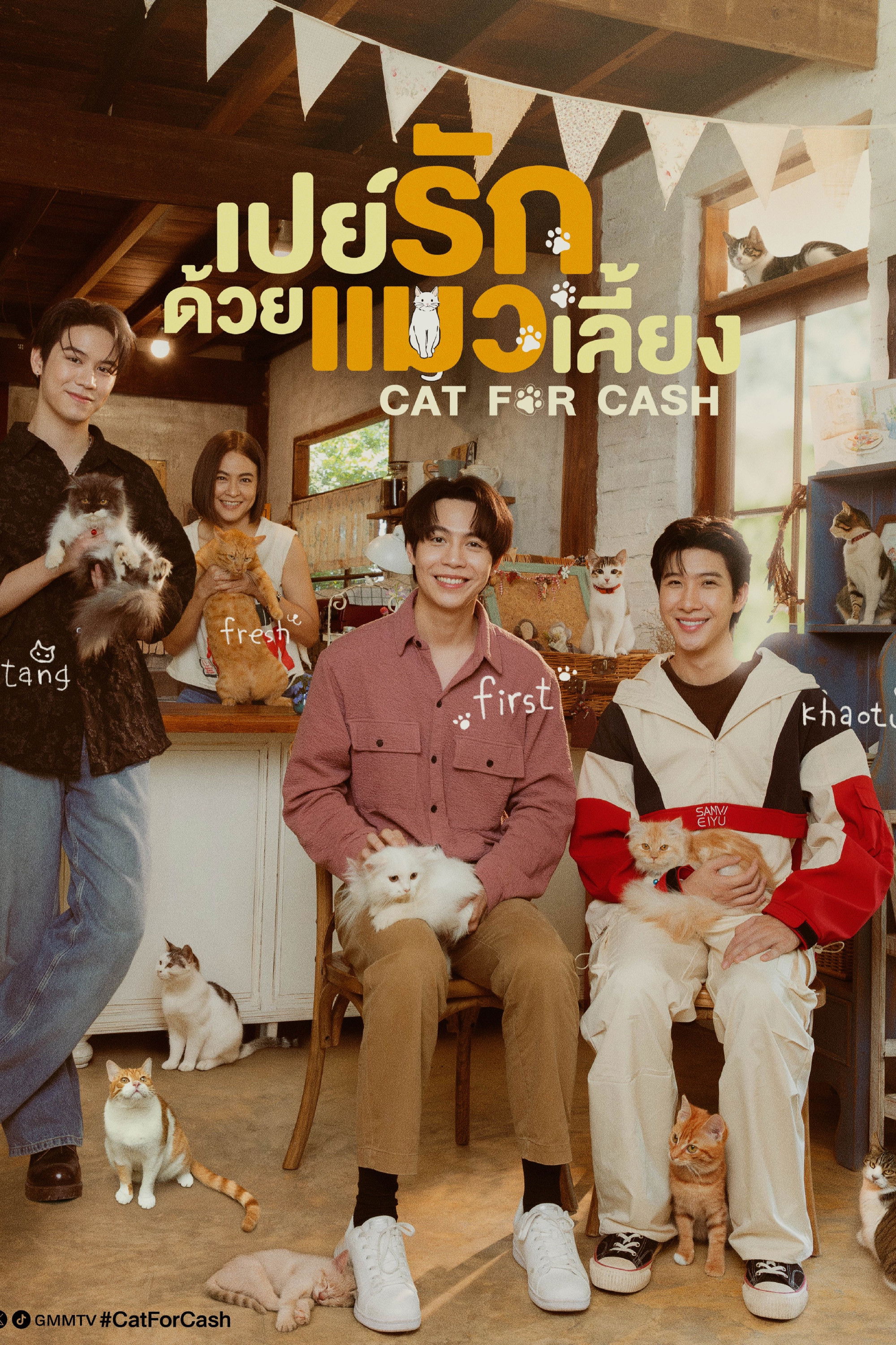 以猫饲爱
